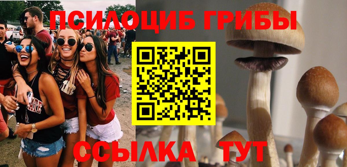 дарнет шоп  Вход с VPN  Псилоцибиновые грибы прущие грибы  Белебей  Галлюциногенные грибы Psilocybine cubensis 